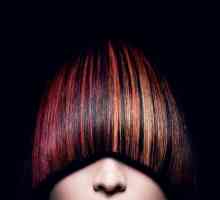 Svijetle i jedinstvena paleta boja kose „Igor”