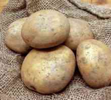 Vernalization krumpira prije sadnje u zemlju