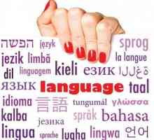 Lingvistika - to je ... Glavni dijelovi lingvistike