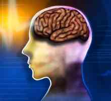Učinkoviti lijekovi za poboljšanje funkcije mozga i pamćenje