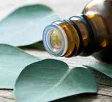 Eukaliptus eterično ulje: svojstva i primjena, upute i povratne informacije