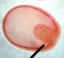 Embriologiju - povijest embriologija ...