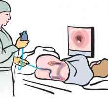 Crijeva endoskopija: što je to, opis postupka, dokaza, priprema