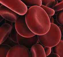Crvene krvne stanice su povećani u djetetu: koji su razlozi