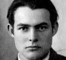 Ernest Hemingway je „Starac i more” - analiza