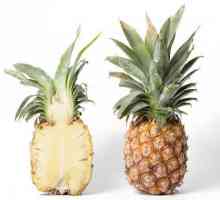 Kao što je ananas, ili sve što trebate znati o ovom tropskom voću