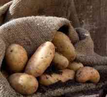 Kako čuvati krumpir u podrumu: u mrežama, torbe, rinfuzi
