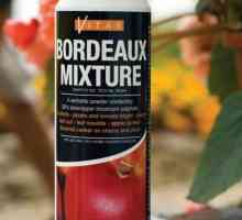 Kao što se koristi smjesa Bordeaux za rajčice