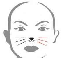 Kako crtati mačka lice. Upute i preporuke