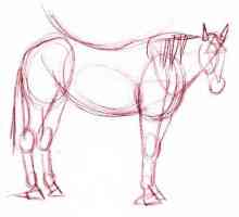 Kako nacrtati konja s jednostavnim olovke