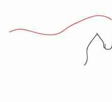 Kako nacrtati konja korak po korak: jednostavan sklop