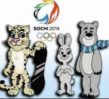 Kako crtati Olimpijske igre 2014. godine
