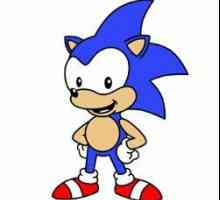 Kako crtati Sonic lijepa?
