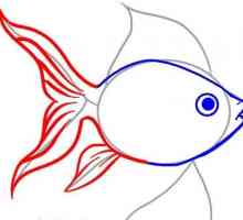 Kako crtati zlatnu ribicu s olovkom? Korak po korak upute