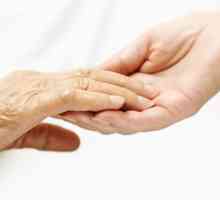 Kako osigurati adekvatne skrbi za starije osobe? Uvjeti, stručna pomoć, naknade za