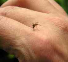 Kako se osloboditi uboda komaraca u djece?