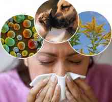 Kako razlikovati alergiju od prehlade - što je razlika