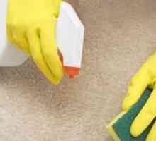 Kako očistiti tepih kod kuće? Vrlo jednostavno!