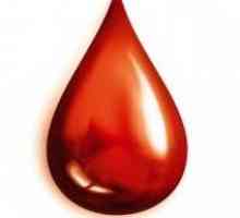 Kako je grupu krvi. Najčešći krvna grupa u svijetu