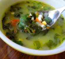 Kako kuhati zelene juha s loboda