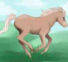Kako nacrtati ponija. Kako nacrtati „u svibnju Little Pony”. Kako nacrtati…