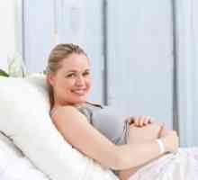 Kako roditi dječaka - teorijski vodič za trudnice