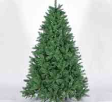Kako sastaviti umjetno božićno drvce? preporuke