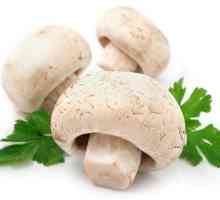 Kako kiseliti gljiva kod kuće: jednostavne recepte omiljenih jela