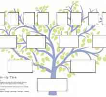 Kako izraditi obiteljsko stablo. Program za izgradnju genealoško stablo