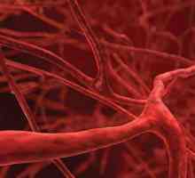 Kako se tijelo alkohol, krvne žile se proširiti ili sažeti?