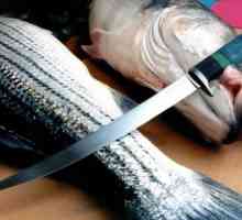 Kako odabrati butine nožem ribu. Nož kvalitete za rezanje ribe