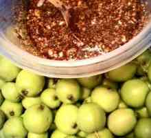 Kako se pripremiti za zimu kiseli jabuke s raženog brašna i ostalih recepata