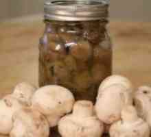 Kako marinirati gljive: recepti za roštilj i konzerviranje
