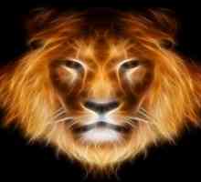 Kako pobijediti lava lava? Horoskop: žena Lav i muški lav