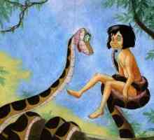Koji je naziv boa „Mowgli” Kipling: sjetite najstrahovitiji znakova…