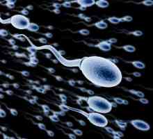 Što bi trebao biti spermija, a što su faktori negativno utječu na nju