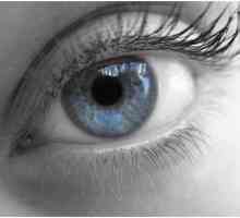 Ono što je potrebno gimnastikom za oči za poboljšanje vida