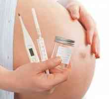 Što testovi loptu u trudnoći