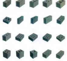 Koji blokovi su bolji za gradnju kuće? Građevni blokovi: karakteristike