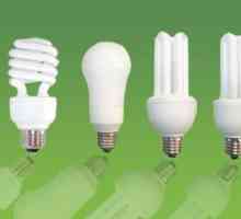 Koje lampe se mogu koristiti da biste dobili svjetlo dana?