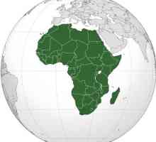 Što je područje Afrike? Najveći područje Afrike države