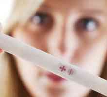 Koje su šanse za dobivanje trudna iz prvog pokušaja? Kada je velika vjerojatnost za dobivanje…