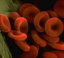 Koja je uloga u tijelu arterijske krvi?