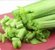 Kalorija celer, njegov sastav i svojstva