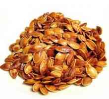 Sjemenke bundeve Kalorija i njihove prednosti