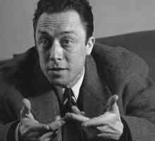 Camus, "autsajder": sažetak. Albert Camus „izvana”: analiza