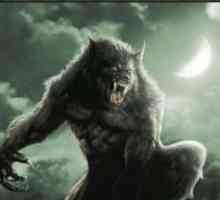 Film o vukovima ništa više o predatorima, ali vukodlak