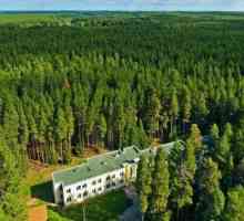 Kirov "borova šuma" (SPA): opis, usluge, kontakti i recenzije