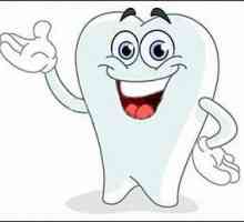 Kada se pojavi prvi zub kod djeteta? Simptomi i pomoći svom djetetu