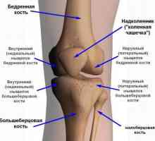 Zglob koljena: ligamenata i ozljede povezane s njima. Kako liječiti ligament koljena
